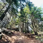 Apartment Forest Retreat, Stream Resort, Pamporovo