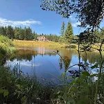 Forest Retreat, Stream Resort, Pamporovo *