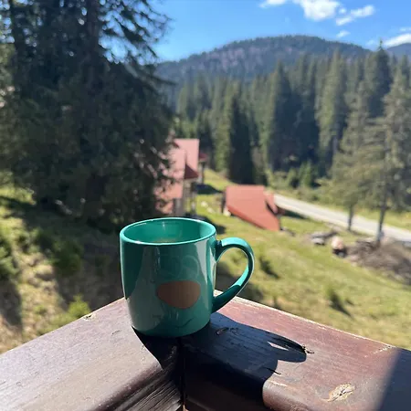 Forest Retreat, Stream Resort, Pamporovo דירה *