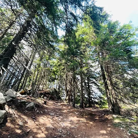 דירה Forest Retreat, Stream Resort, Pamporovo