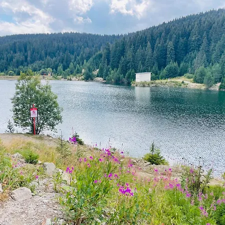 Forest Retreat, Stream Resort, Pamporovo Apartamento *