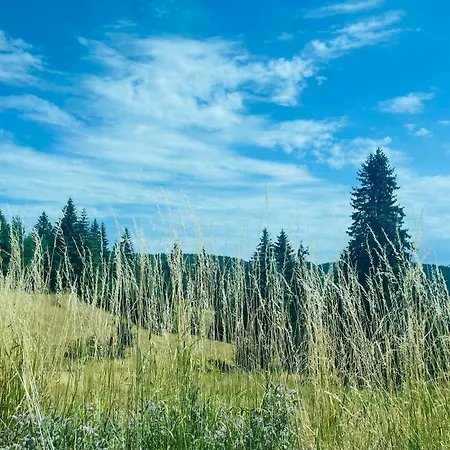 Forest Retreat, Stream Resort, Pamporovo דירה *