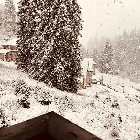 Forest Retreat, Stream Resort, Pamporovo Apartment