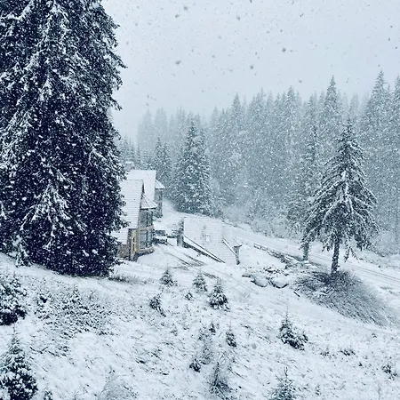 Forest Retreat, Stream Resort, Pamporovo דירה