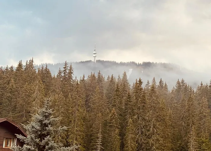 Forest Retreat, Stream Resort, Pamporovo *