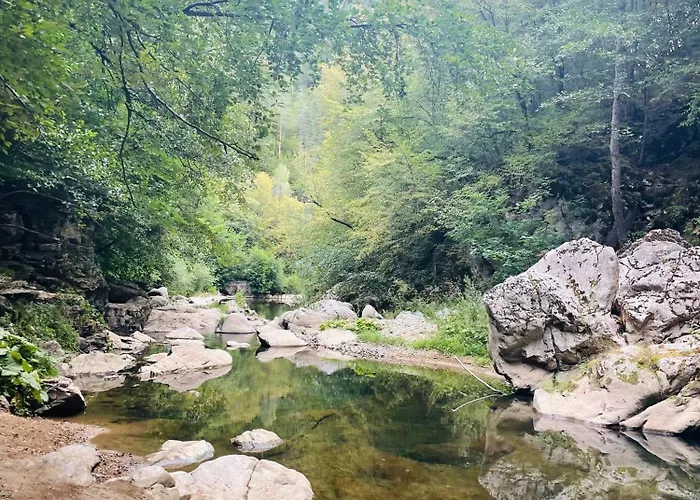 Apartment Forest Retreat, Stream Resort, Pamporovo *