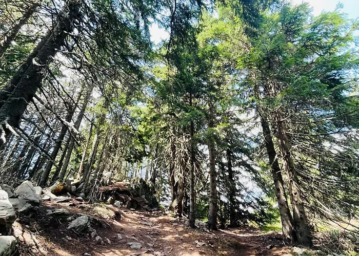 Apartment Forest Retreat, Stream Resort, Pamporovo