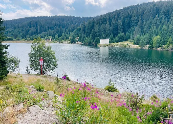 Forest Retreat, Stream Resort, Pamporovo Apartment *