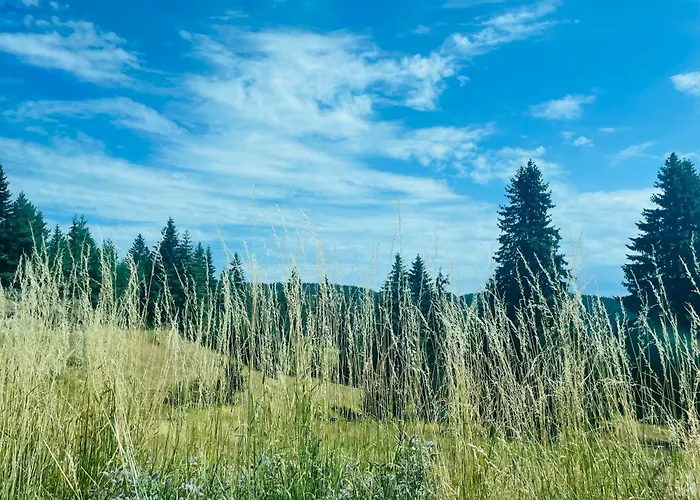 Forest Retreat, Stream Resort, Pamporovo Apartamento *