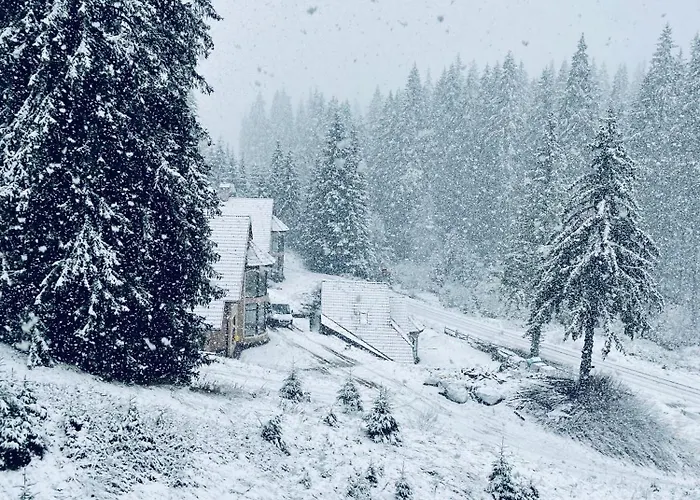 Forest Retreat, Stream Resort, Pamporovo Apartamento